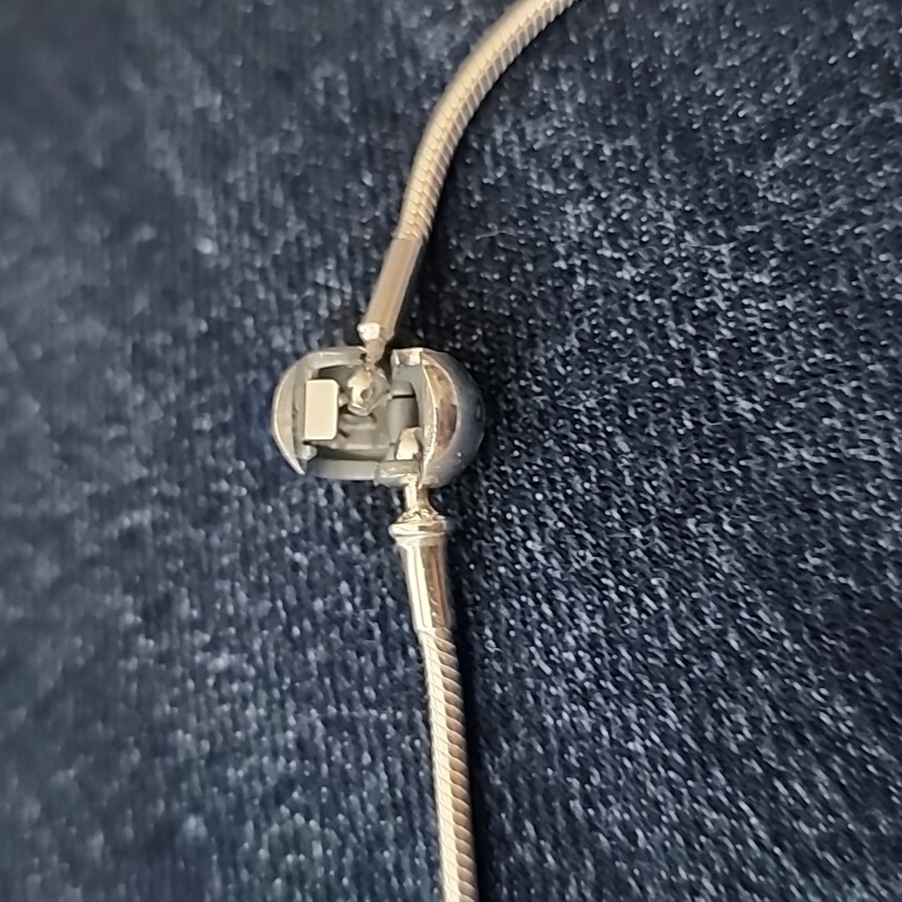 Pandora Moment Snake Chain Bracelet - Picture 5 of 10